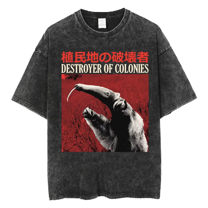 Men's Japanese Frog Retro Washed Oversized T-Shirt – Funny Graphic Streetwear Tee