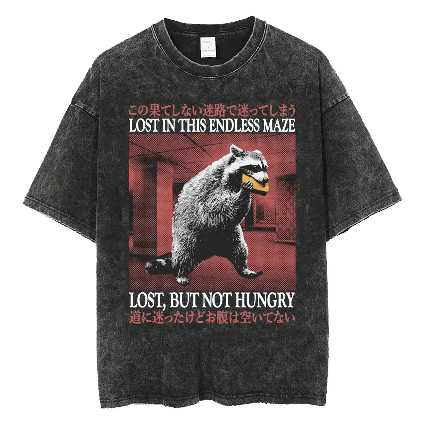 Men's Japanese Frog Retro Washed Oversized T-Shirt – Funny Graphic Streetwear Tee