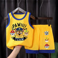 Boys PAW Patrol Mesh Basketball Vest & Shorts Set – Breathable Summer Outfit